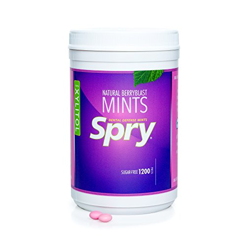 image for Spry Xylitol Berry Blast Mints Sugar Free Candy - Promote Oral Health,