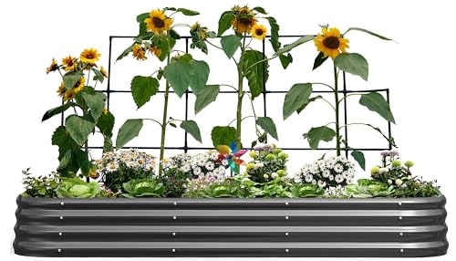 KING BIRD Raised Garden Bed with Wall Trellis Galvanized Planter Garden Box Outdoor for Gardening, Climbing Vegetables, Flowers 7.87x3.94x0.98 Ft, Dark Grey