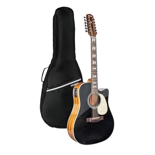 WishMade 12 String Acoustic Electric Guitar | Dreadnought