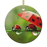 Artisanat en céramique de qualité supérieure pour une élégance intemporelle : méticuleusement fabriqués à partir de céramique de haute qualité, ces ornements imprimés recto-verso dégagent la sophistication, rehaussant à la fois les décorations de sapin de Noël en intérieur et en extérieur. Leur finition lisse et polie assure un look raffiné qui complète la décoration traditionnelle et moderne, ce qui en fait un ajout durable et chic à votre configuration festive