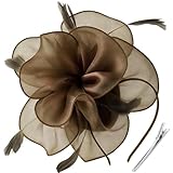 Este fascinante descarado da un guiño al estilo vintage con una cinta de organza con base de malla hinchable y plumas de vuelo.