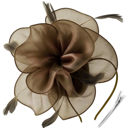 DRESHOW Fascinators Hat for Women Cocktail Tea Party Headwear Flower Mesh Ribbon Feathers Headband