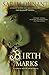 Birth Marks: A Hannah Wolfe Crime Novel