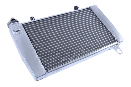Radiateur d'eau YAMAHA TZ 250 4DP 1992-1995 type racing AVDB - 2