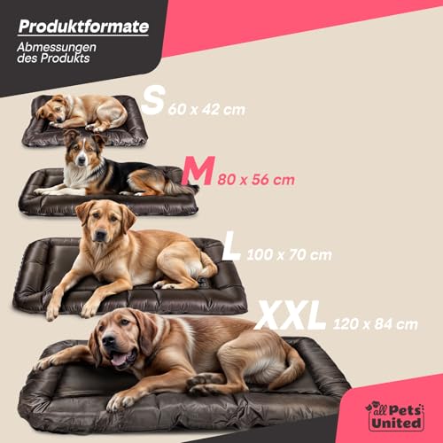 all Pets United® Hundekissen Hundebett Indoor & Outdoor; Hunde-Kissen Hunde-Körbchen; Schlafplatz für Hund & Katzen (M - 75x52 cm)