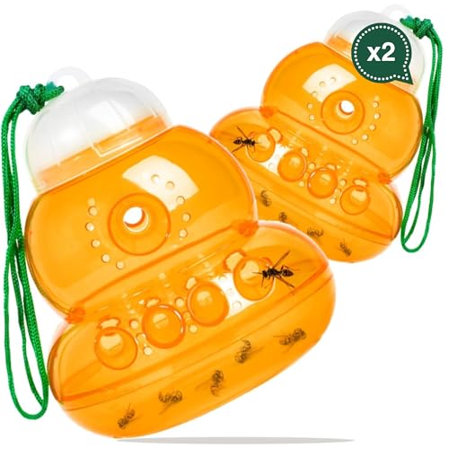 IAMI 2 Trampas Avispas, Avispón, Abejas, Abejorros e Insectos Voladores - para Colgar en el Patio, Jardin, Piscina o Exterior - Eficaz y Útil contra Todo Tipo de Insectos Voladores - Versión 2025