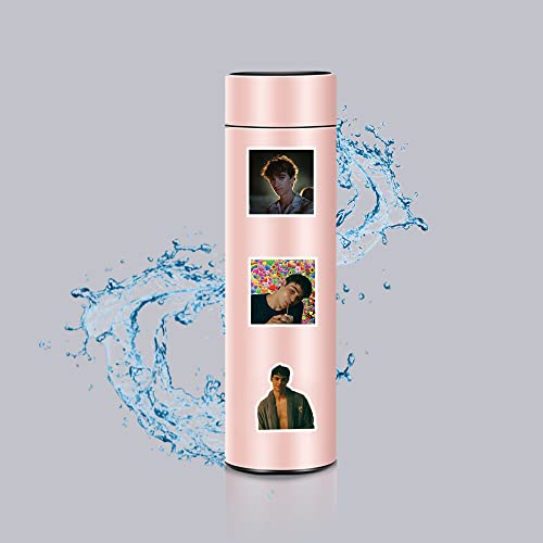 Image of 60 Pcs The Summer I Turned Pretty Classic TV Fashion Aesthetic Waterproof Vinyl Stickers for Birthday Party Supplies Decoration Favors for Water Bottles Laptop Suitcase