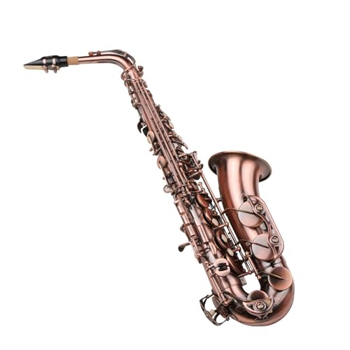 TbNX TbNX AeB[NEtbg ^JfށP[X NX uV TbNXXgbv }EXs[X y