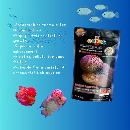 Okiko Platinum X2, Floating Pellets Size M = 2 Mm, Flowerhorn Fish Food Red Head Mark Formula High Protein Astaxanthin Color Enhancing Tropical Fish Feed Probiotic Healthy Fast Growth thumb #4