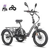 Fafrees E Bike Dreirad für Erwachsene 48V 21Ah Akku