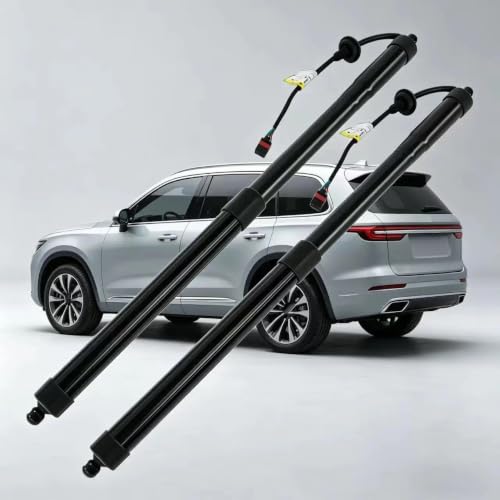 Vérin à gaz hayon et accessoires de support arrière Buick E4 2023 - 4