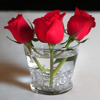 Roman Urn Glass Vase / Candleholder