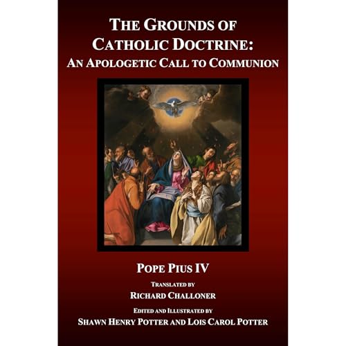 The Grounds of Catholic Doctrine by Pope Pius IV episode artwork