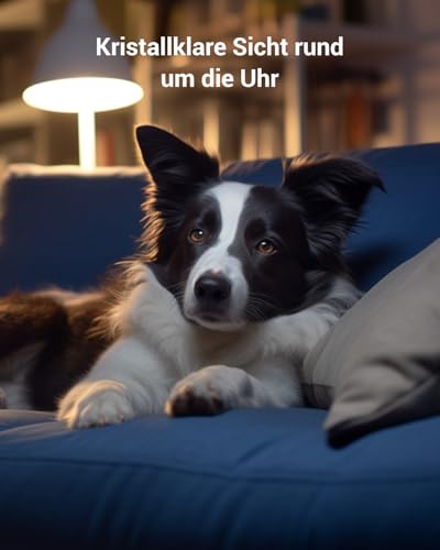 BoyKeep 2.4G/5GHz Überwachungskamera Innen 2K 360° WLAN Überwachungskamera Indoor Hundekamera mit APP Babyphone mit Kamera mit Bewegungserkennung, Nachtsicht, Zwei-Wege-Audio, K30 (White 2-Pack)