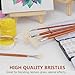 DUGATO Fan Brushes for Painting and Pottery Glazing, Set of 7 Natural Hog Hair Artist Fan Brush for Acrylic Oil Watercolor Painting, Ceramic Glaze Brush, Long Birch Wood Handle