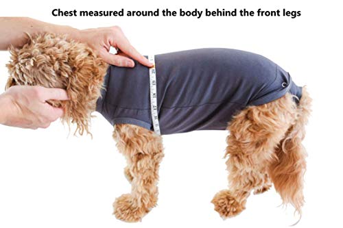 image for BellyGuard Recovery Suit for Dogs, Comfy Dog Surgery Suit, Female Spay