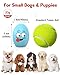 TOPWE Hundeball, [5 Stück] Lustig Weich Quietschend Hundespielzeug Kleine Hunde, Interaktives Egg Hundespielzeug Quietschend für Welpen