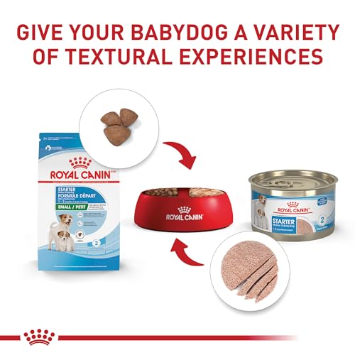Royal Canin Size Health Nutrition Starter Mother & Babydog Mousse in Sauce Dog Food, 5.1 oz (Pack of 24)