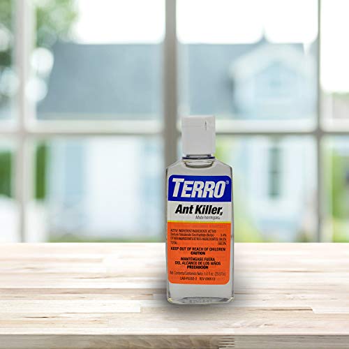 TERRO 1 oz Liquid Ant Killer - Attract and Kill Household Ants - Indoor Ant Killer - T100-12, Works Fast