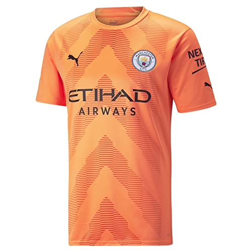 PUMA Manchester City Mens Goalkeeper Jersey Short Sleeve