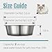 PEGYY11 Nonslip Stainless Steel Dog Cat Bowls, 2 US Cup, 2 Count