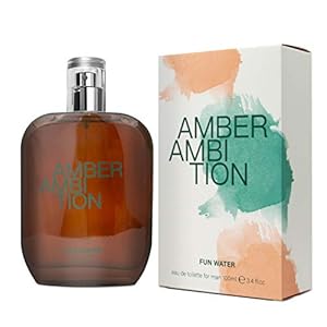 Fun Water Amber Ambition – herengeur – 100 ml