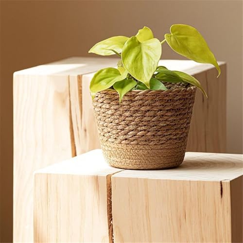 JITASHWA Woven Plant Pot with Liner, Seagrass Planter Basket, Decorative Flower Pots Cover, Indoor Planter Plant Containers, Home Decoration, Small