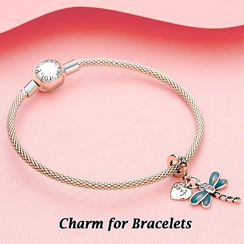 Charm de plata 925 primaveral resistente con enganche universal para collar 3