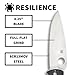 Spyderco Resilience Folding Pocket Knife with 4.20