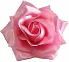 Amazon.com : Light Pink Rose Hair Clip from Sourpuss
