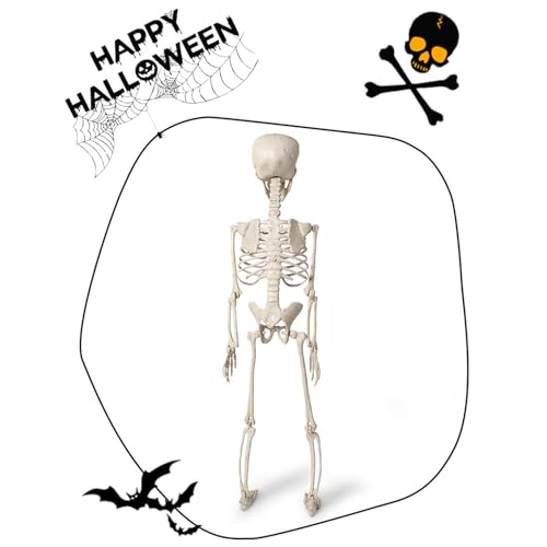 Squelettes pour Halloween de 60cm : cadeau anniversaire original et pliable