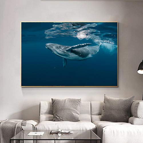 Affiches et impressions bleu mer et poissons sur toile haut de gamme 60x80