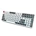RK ROYAL KLUDGE RK100 Wireless Mechanical Keyboard, Bluetooth5.1/2.4G/Wired 96% Full Size 100-Key Hot Swappable Gaming Keyboard with 3 USB Ports, Brown Switch for Mac Windows, Classic