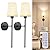 10000mAh Battery Operated Wall Sconces Set of Two, Wireless Wall Sconce with Rechargeable Bulbs and Remote,15 Colors & Dimmable,Black Sconces Wall Decor Set of 2 for Bedroom Living Room Hallway