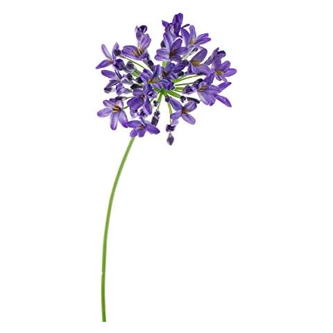 artplants.de Artificial Agapanthus PHILINA, blue, 30"/75cm, Ø 5.5"/14cm - Silk flower/Single stem artificial flower Cover