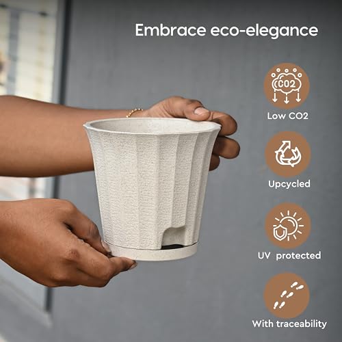 Image of Eha Earth Friendly Ace 5 inch Small Self Watering Pots for Indoor Plants | Set of 6 | Plant Pot Made with Bamboo Fibers | Table Top Planters for Home Decor, Flower Pot for Living Room | Sand Castle