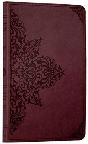 Holy Bible: English Standard Version (ESV) Anglicised Chestnut Ornamental Thinline edition Livre PDF Gratuit