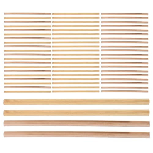 jojofuny 100 ؘZp` ی^ؐM ₷GSm~bNfUC ~ߍ\Ŏ̔y wK XPb` VF[fBO