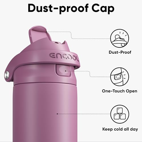 Image of ENCOOL Leakproof Insulated Water Bottle with Straw Dual-Sip Water Bottle Bag-Safe Design for Work, Commute & Gym - Keeps Drinks Cold All Day, 32 oz, Mountbatten Pink
