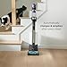 Shark Cordless Vacuum Cleaner with HEPA Filter, PowerDetect Clean & Empty, Powerful Suction, Auto-Empty System, Pet Hair Pickup, Carpets & Hardfloor, Dark Gray, IP3251