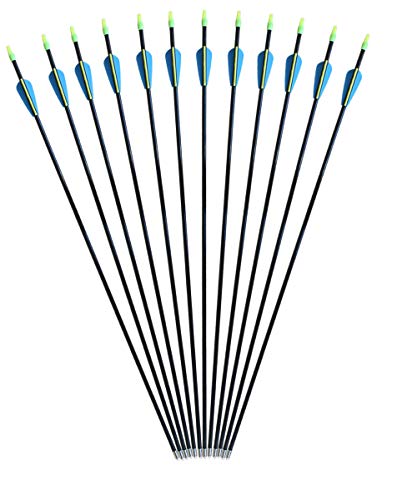 CQ Archery Practice Fiberglass Arrows 28inch Recurve Bow Arrows for Beginners or Kids Youth Arrows for Bow(12pcs)