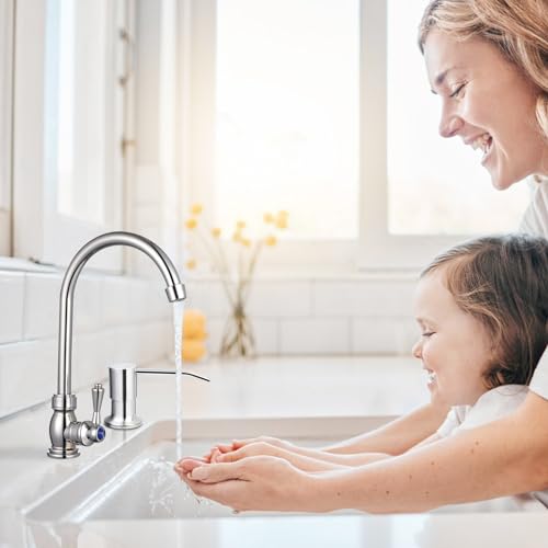 HUAERSICO Spülmittelspender Küche Einbau,Seifenspender Einbau mit Edelstahlpumpe und 1,0 m Verlängerungsschlauch für Küchenspüle und Waschbecken,Silber
