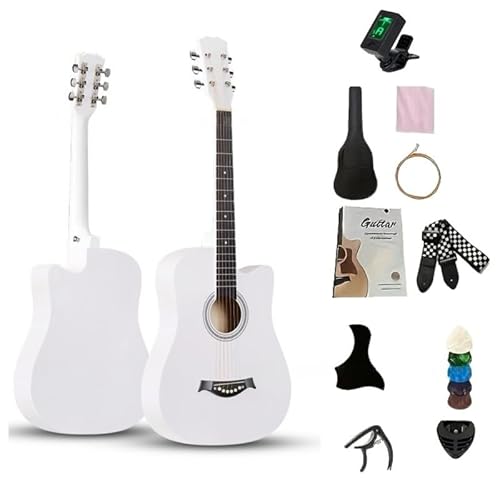 FHFH6 M^[A AR[XeBbNA M^[SҌAwlp 10 Zbg WjA AR[XeBbNAZbg 38inch KAwAqAlAKAZbgASҁAtH[NM^[AA`[i[ (zCg)