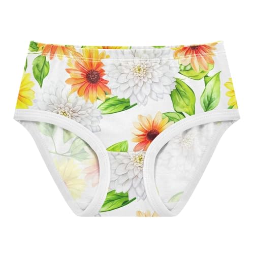 Cotton Toddler Underwear Floral Spring Watercolor Flowers Floral Little Girl Panties Flower Underpants Briefs 2t