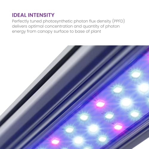 Kind Led X40 2-Foot 40W Indoor Led Grow Light Bar For Plants And Flowers (Vegetative Spectrum) #TOP3