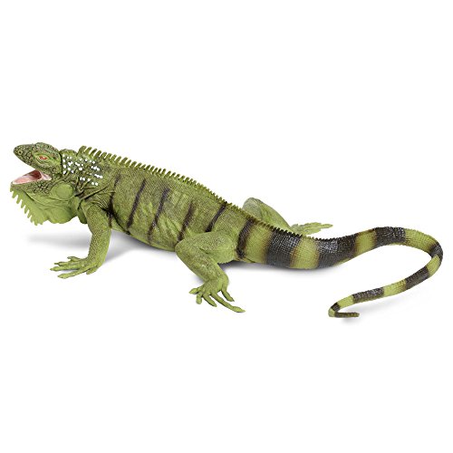 Safari Ltd. Iguana Figurine - Lifelike 11
