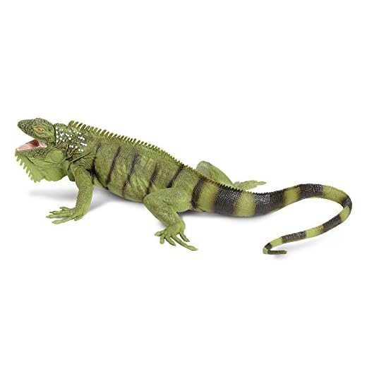 Safari Ltd. Toob Leguan