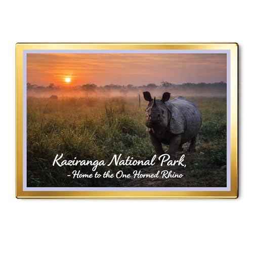 Image of Decorative Fridge Magnet with Glowing Border | Pack of 1 (Kaziranga National Park, Assam - Home to the One Horned Rhino, 3x2 inch - Golden Border)