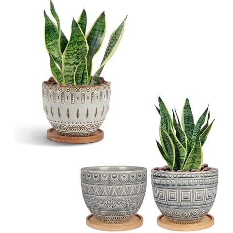 G EPGardening 5.5 Inch Ceramic Succulent Planter Pot with Drainage Hole and Saucer for Plants Indoor Outdoor Round Orchid Flower Plant Pot Set Cover