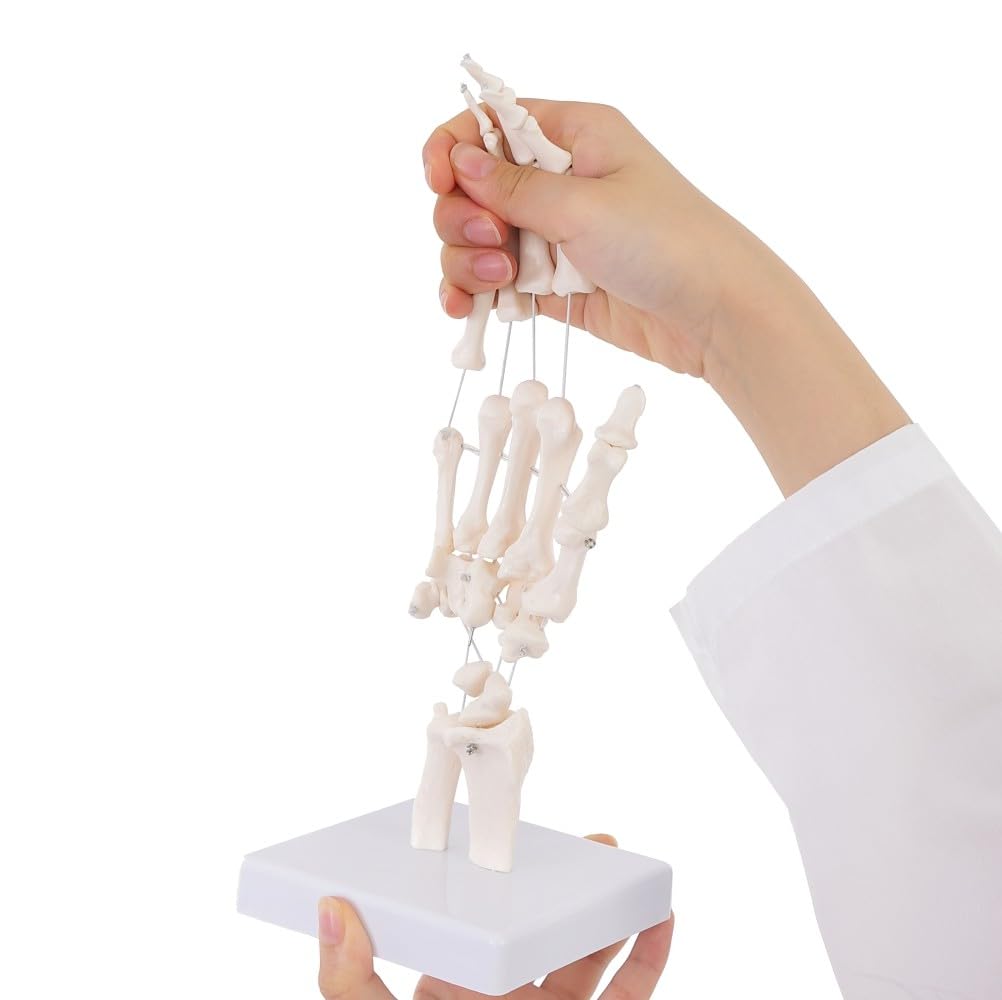 Amazon.co.jp: NSGreenjp 【弊社独自の特殊素材でビヨーンと伸びる手